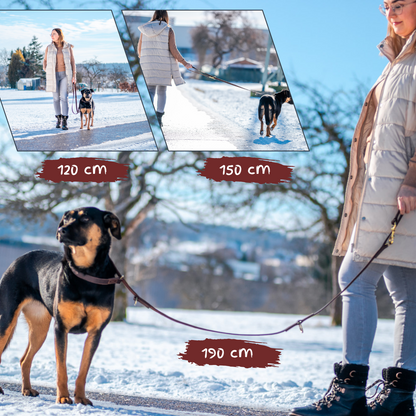 foryou® Echt Leder Hundeleine mit Halsung - Ihre Führleine in Premium Qualität - Made in Germany