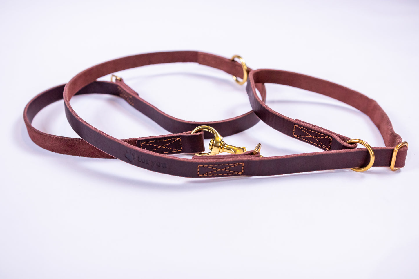 foryou® Echt Leder Hundeleine mit Halsung - Ihre Führleine in Premium Qualität - Made in Germany
