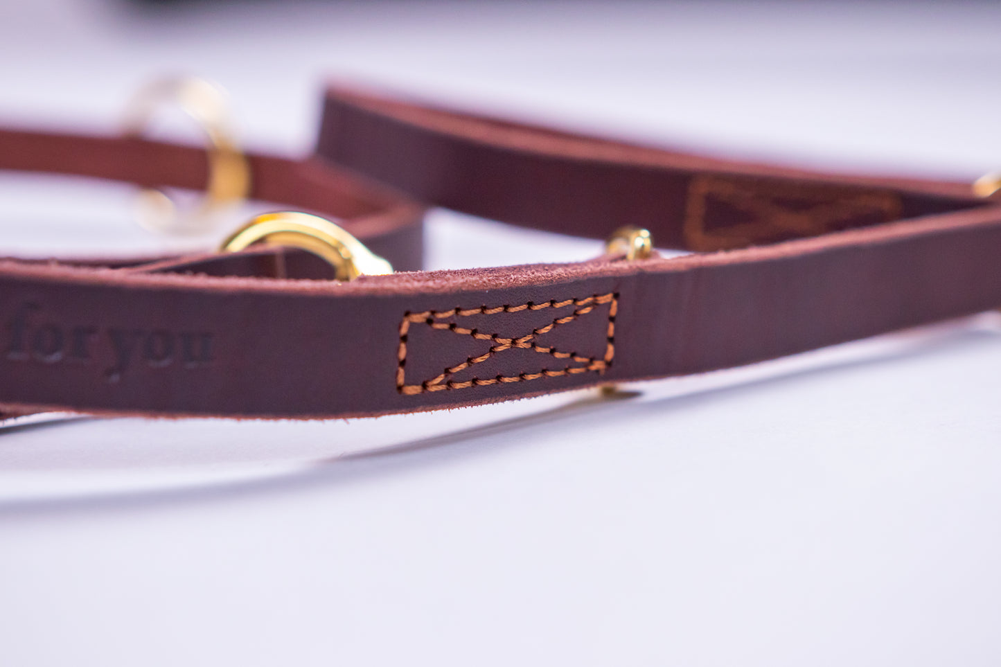 foryou® Echt Leder Hundeleine mit Halsung - Ihre Führleine in Premium Qualität - Made in Germany