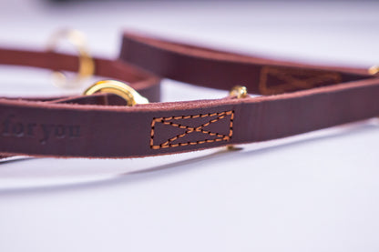 foryou® Echt Leder Hundeleine mit Halsung - Ihre Führleine in Premium Qualität - Made in Germany