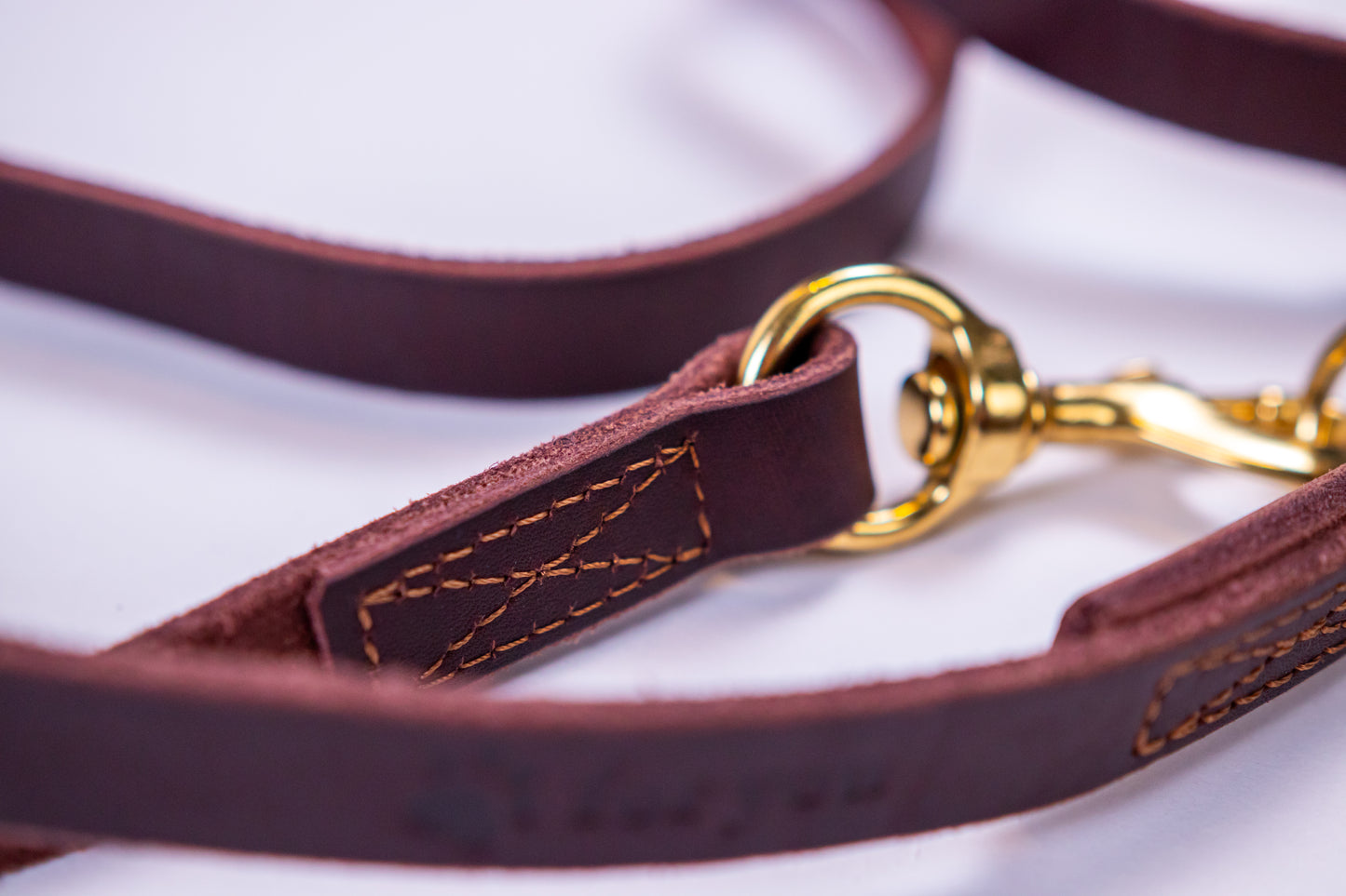 foryou® Echt Leder Hundeleine mit Halsung - Ihre Führleine in Premium Qualität - Made in Germany