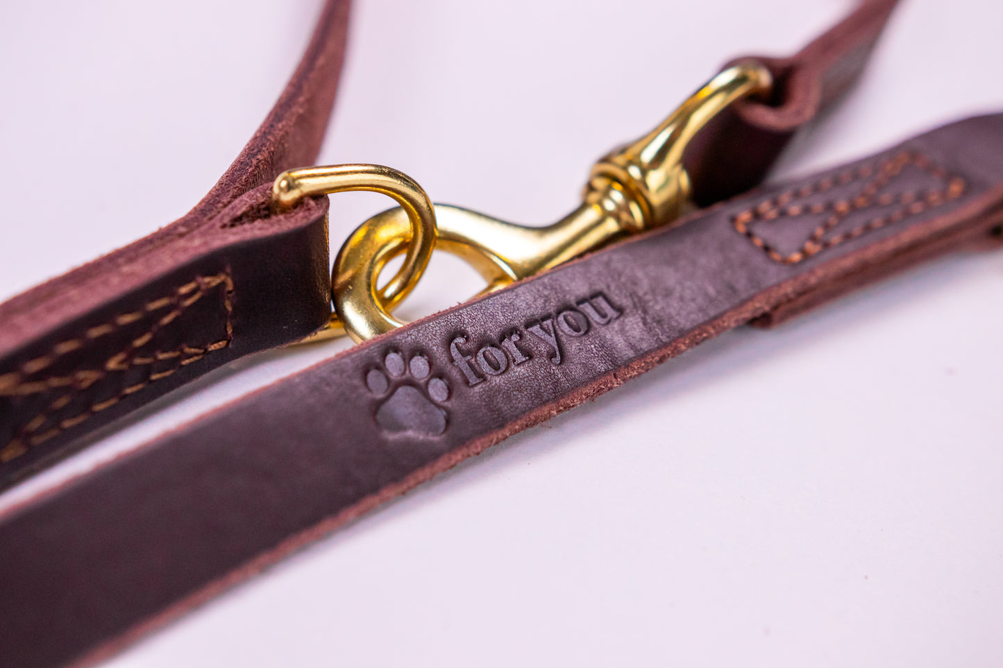 foryou® Echt Leder Hundeleine mit Halsung - Ihre Führleine in Premium Qualität - Made in Germany