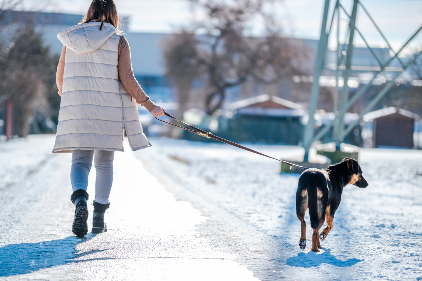 foryou® Echt Leder Hundeleine mit Halsung - Ihre Führleine in Premium Qualität - Made in Germany