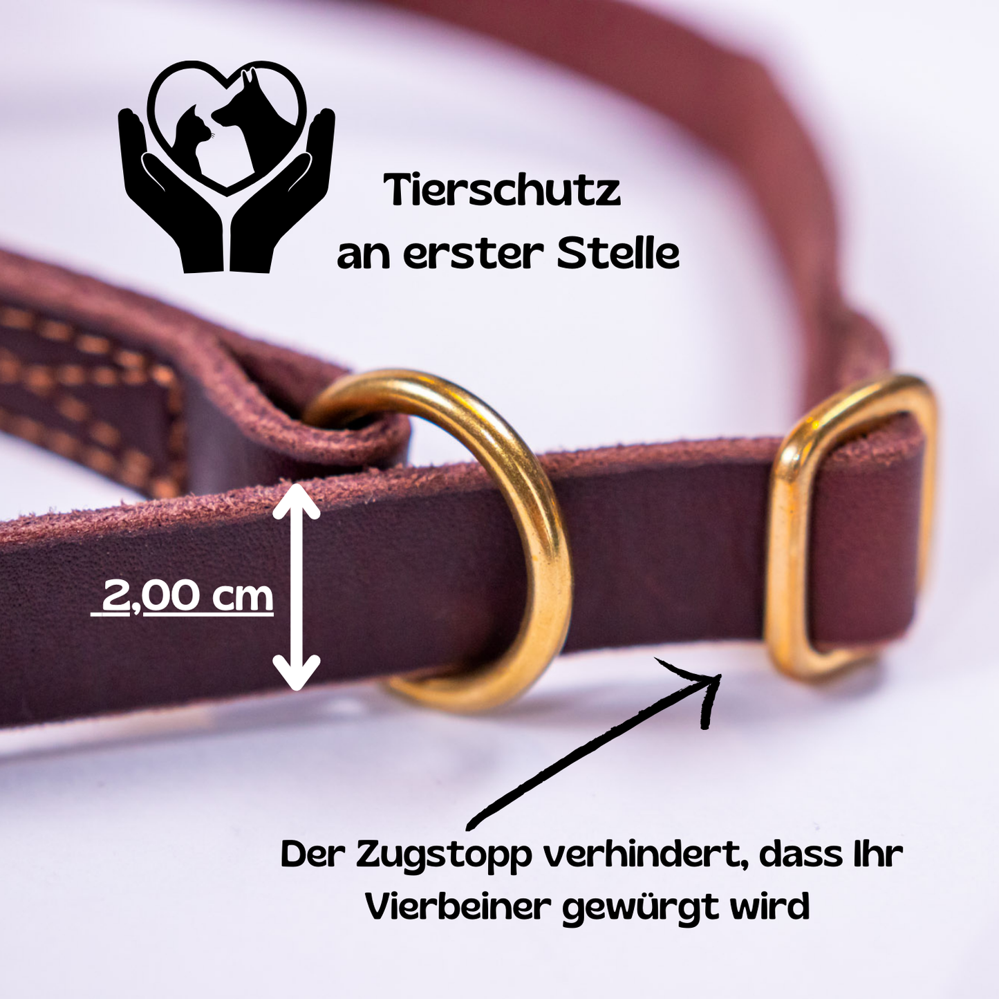 foryou® Echt Leder Hundeleine mit Halsung - Ihre Führleine in Premium Qualität - Made in Germany